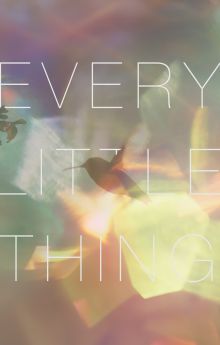Every Little Thing Every Little Thing