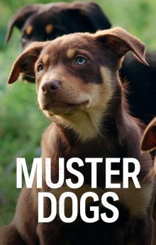 Muster Dogs - Season 3 Muster Dogs - Season 3