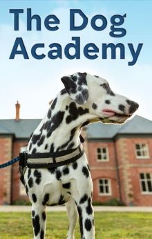 Bad Dog Academy - Season 2 Bad Dog Academy - Season 2