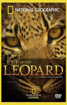 Eye of the Leopard Eye of the Leopard