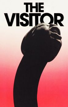 The Visitor The Visitor